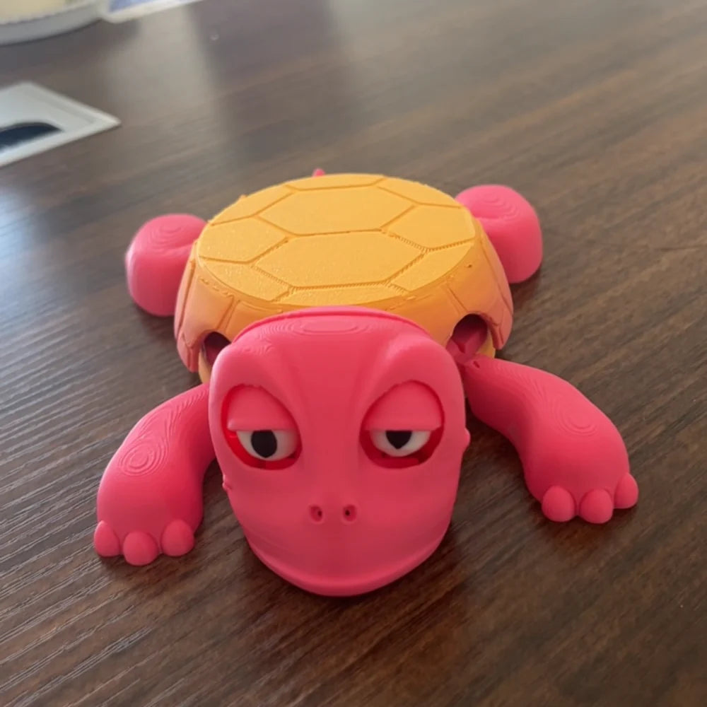 Turtle Coaster