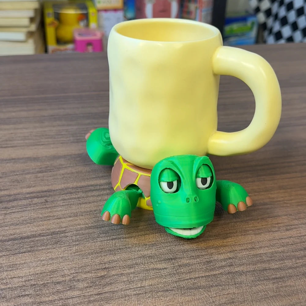 Turtle Coaster