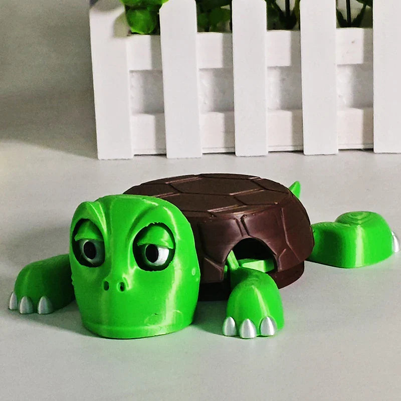 Turtle Coaster