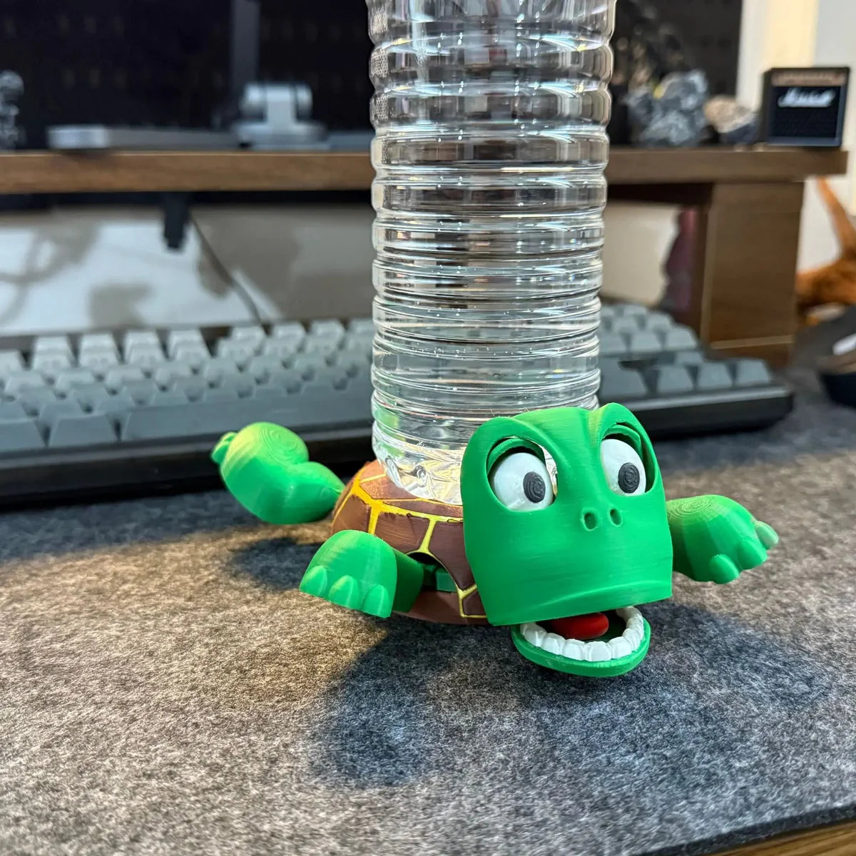 Turtle Coaster