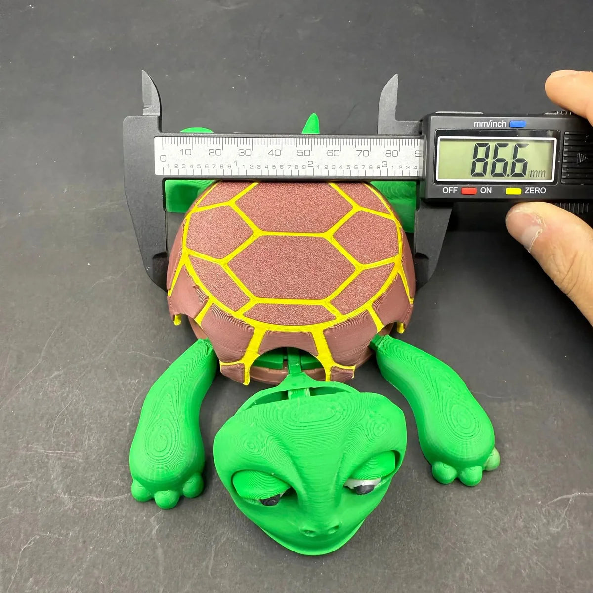 Turtle Coaster
