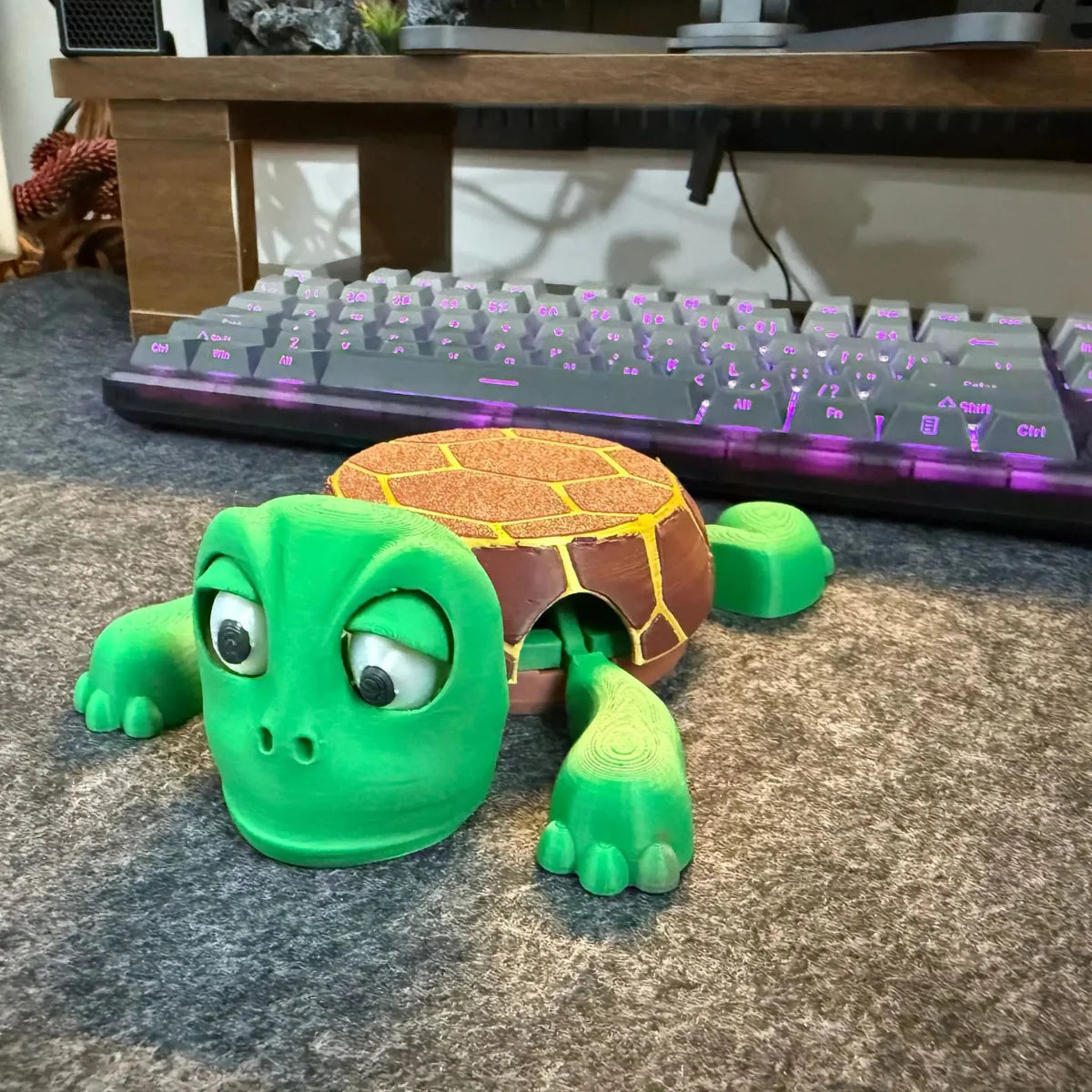 Turtle Coaster