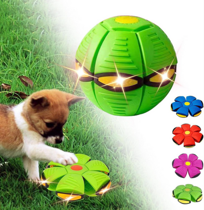 Doggy Disc Ball- High Energy Transformation