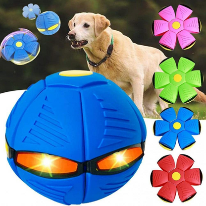 Doggy Disc Ball- High Energy Transformation